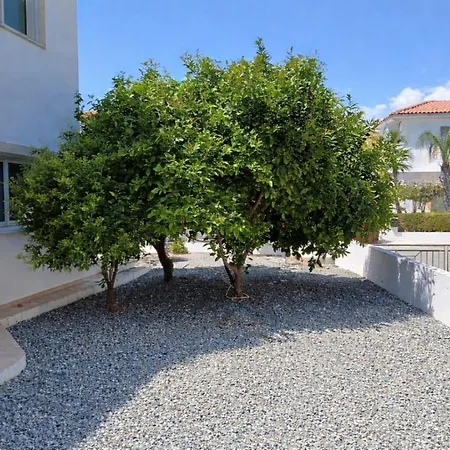 Kleodora * Ayia Napa